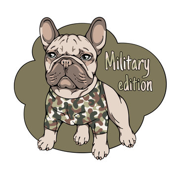 Cartoon french bulldog in military clothes. Stylish image for printing on any surface