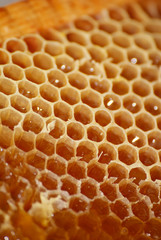 Beekeeping, beekeeper at work, bees in flight