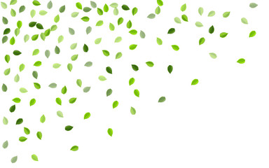 Lime Leaf Abstract Vector Wallpaper. Falling 