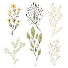 Vector set botanic elements. Wildflowers, herbs, leaf, branches. illustration isolated on white background. Hand draw.