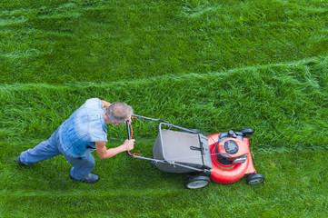 lawn mower is cutting green grass cut, the gardener with a lawn mower is working in the backyard,...