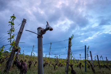 Water faucet in the dark sky in a vineyard