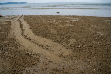 mysterious crab feeding activity & crab cave