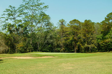 Beautiful golf course in a sunny day.