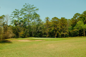 Beautiful golf course in a sunny day.