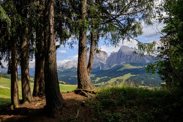 Sassolungo e Sassopiatto dall'alpe di Siusi, Dolomiti