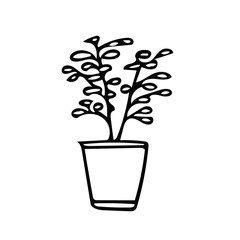 potted plant hand drawn in doodle style. element scandinavian monochrome minimalism simple vector element. flower, leaves, interior. design card, sticker poster, icon