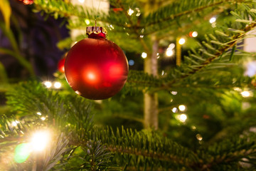 Red christmas ornament in a tree with lights