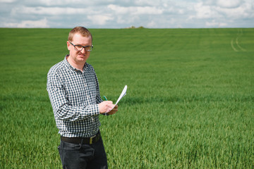 An agronomist investigates the ripening process of young wheat in the field. Agricultural business...