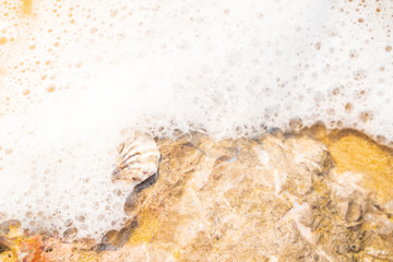 beach with sea shell and wave foam.bubble wave swashing under the morning light.shallow focus effect.