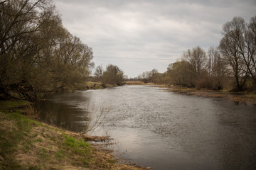 panorama of the belarusian river in early spring. April 2020