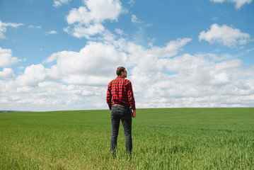 Naklejka na ściany i meble Farmer walking through a green wheat field on windy spring day and examining cereal crops
