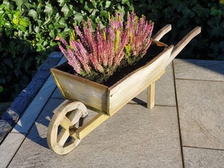 Herbstdeko mit Heidekraut