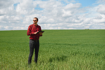 Young agronomist holds tablet touch pad computer in green wheat field. Agribusiness concept. agricultural engineer standing in a wheat field with a tablet in summer