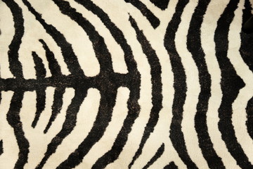 animal pattern zebra or tiger print . black and white color .