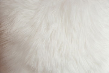 white fluffy fur background .