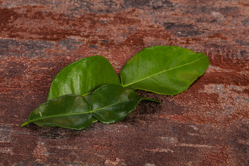 Kafir lime leaves - addition for Asian cuisine