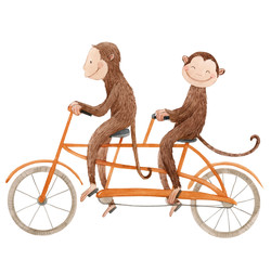 Beautiful stock illustration with cute watercolor baby monkey on bike. Animal with bicycle hand drawn painting. © zenina