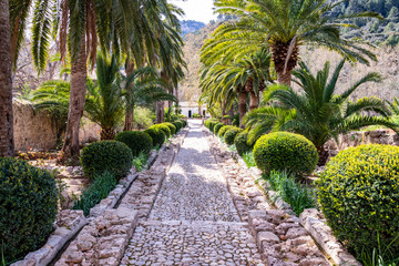 Fototapeta premium schöner Weg durch einen Spanischen Garten