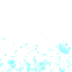 Turquoise flower petals falling down. Indelible ro