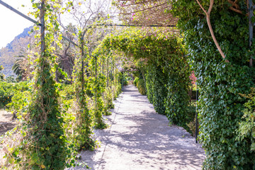 sch&ouml;ner Laubengang in einem Spanischen Garten