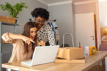 Two cheerful young people using computer and celebrating their success. Two young adult business...