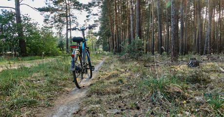 Electric bicycle on a sandy single trail on the edge of a forest in the heath