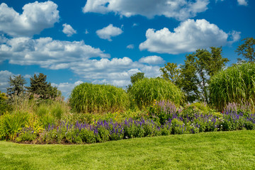 Nice green landscaped garden with lush lawn