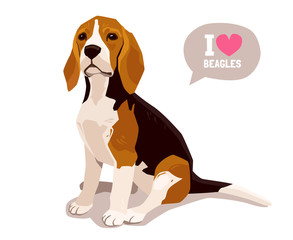 Cute cool sitting beagle puppy. Flat dog vector illustration