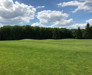 green grass and blue sky