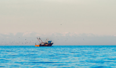 The trawler in the sea in the fishing