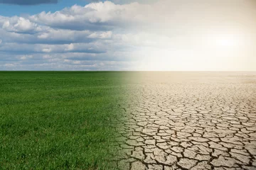 Poster Landscape with half green field and half desert. Global warming concept © scharfsinn86