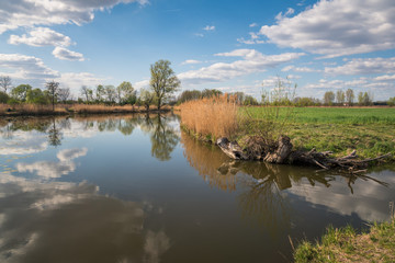 Fototapeta na wymiar Pod Morgami Lake at sunny day in Powsin, Warsaw, Poland