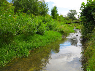  mountain river with clear water in summer 