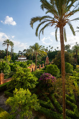 Fototapeta na wymiar September 9, 2019, Sevilla, Andalusia, Spain, beautiful green gardens in moorish palace Alcazar