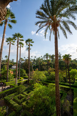 Fototapeta na wymiar September 9, 2019, Sevilla, Andalusia, Spain, beautiful green gardens in moorish palace Alcazar