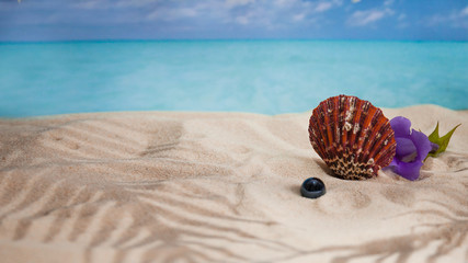 Fototapeta na wymiar the beach of a tropical Paradise sea island, with shells and the shade of palm trees