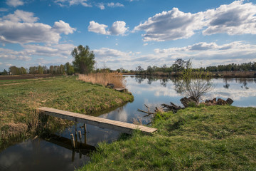 Fototapeta premium Pod Morgami Lake at sunny day in Powsin, Warsaw, Poland