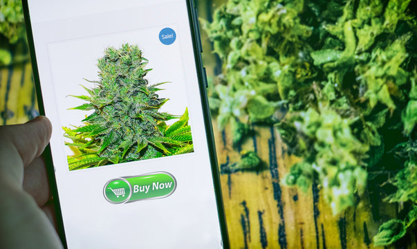 cannabis light online shop buy ganja light with smartphone.