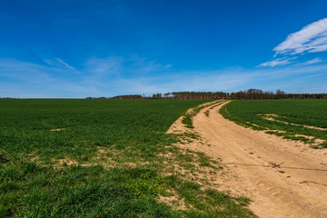 dirt road through a green field with trees in the background and clouds in the sky on a sunny day
