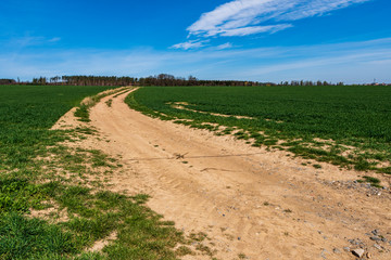 Fototapeta na wymiar dirt road through a green field with trees in the background and clouds in the sky on a sunny day