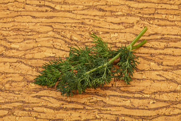 Aroma seasoning - Green Dill branch
