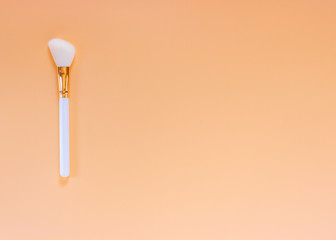 Makeup brushes on color background. Accessories for professional decorative cosmetics.  Flat lay top view. Copy space for text. Horizontal orientation.