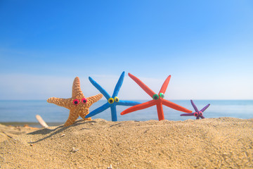 Fototapeta na wymiar Funny starfishes at the beach