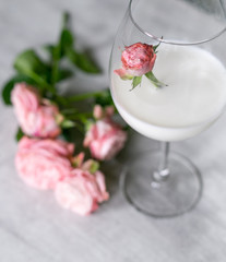 gray background, postcard, flowers, flowers on a gray background, spring, congratulation