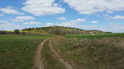 Fototapeta na wymiar rural landscape with road