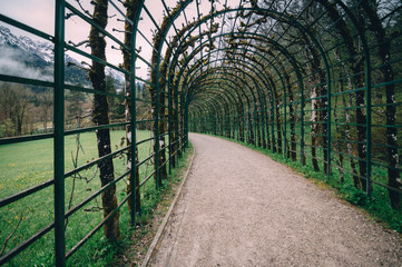 Covered Footpath In Park