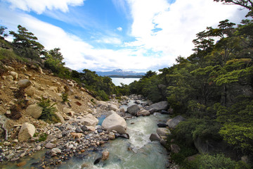 ruscello con sassi e rocce in mezzo alla natura