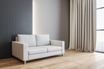 Contemporary living room interior with sofa.