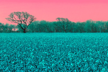 Alternative reality. Surreal pink sky landscape in AI vision